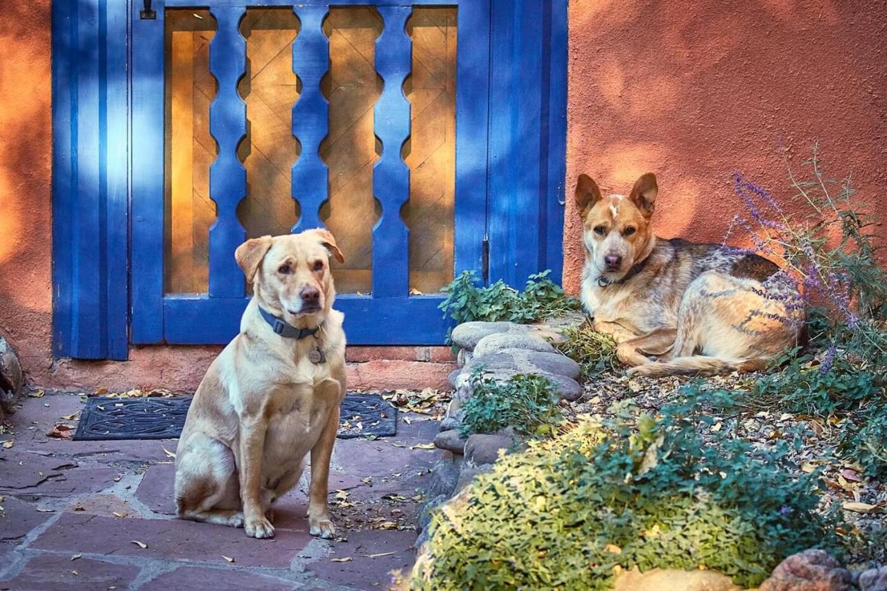 Adobe And Pines Inn Bed And Breakfast Ranchos de Taos Ngoại thất bức ảnh